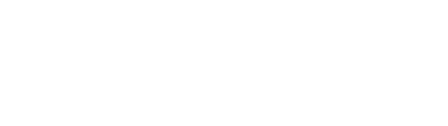 Auditing WordPress Theme